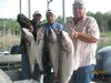 (09/20/2014) - Nice Striped Bass